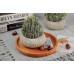 JC nateva 2 Packs Small Fake Plants Bathroom Decor,Artificial Potted Plants for Home Office Farmhouse Kitchen Table Decor