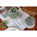 JC nateva 2 Packs Small Fake Plants Bathroom Decor,Artificial Potted Plants for Home Office Farmhouse Kitchen Table Decor