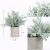 JC nateva Set of 4 Small Artificial Plants Mini Potted Fake Plants Indoor for Home Office Farmhouse Kitchen Bathroom Table Decor