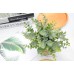 JC nateva 4 Packs Small Fake Plants Mini Potted Artificial Plants Indoor for Home Office Farmhouse Kitchen Bathroom Table Decor