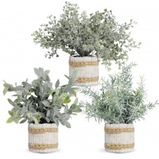 JC nateva 3 Packs Small Fake Plants Mini Artificial Potted Plants Faux Plants Indoor for Home Office Farmhouse Kitchen Bathroom Table Decor