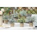 JC nateva Set of 6 Packs Mini Potted Fake Plants Faux Eucalyptus Plants Artificial Plants for Home Decor Indoor