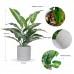 JC nateva 16" Small Fake Plants Artificial Potted Faux Plants for Office Desk Shelf Bathroom Home Decor