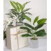 JC nateva 16" Small Fake Plants Artificial Potted Faux Plants for Office Desk Shelf Bathroom Home Decor