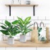 JC nateva 2pcs 16" Fake Plants Artificial Plants for Farmhouse Bathroom Kitchen Office Home Decor Indoor